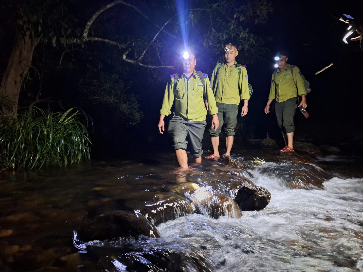 Để bảo vệ quần thể giáng hương, cả ngày lẫn đêm, lực lượng bảo vệ rừng của Vườn Quốc gia Kon Ka Kinh thực hiện nghiêm chế độ đi tuần, đếm từng gốc, có kế hoạch bảo vệ bài bản.