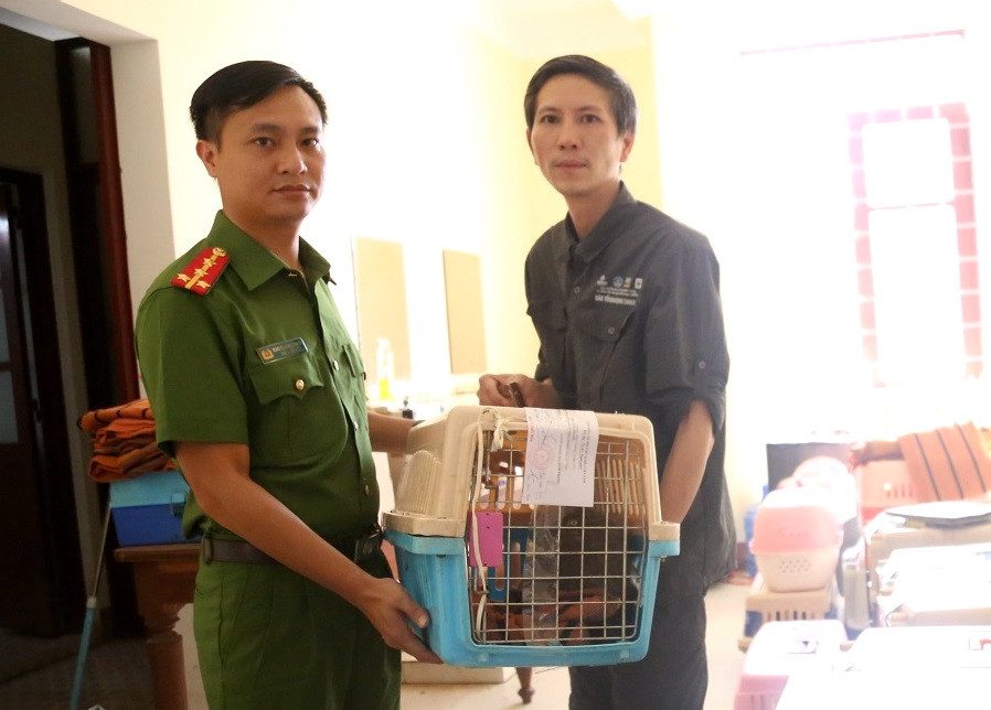 Công an tỉnh Gia Lai bàn giao số lượng động vật quý hiếm cho cán bộ Vườn Quốc gia Cúc Phương Công an tỉnh Gia Lai bàn giao số lượng động vật quý hiếm cho cán bộ Vườn Quốc gia Cúc Phương