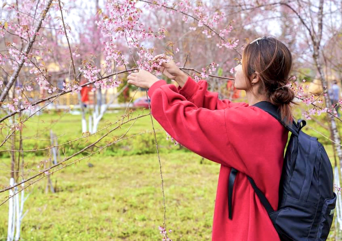 Thị trấn Măng Đen cách trung tâm thành phố Kon Tum (tỉnh Kon Tum) khoảng 60 cây số. Nơi đây cao 1.200m so với mực nước biển nên thời tiết mát lạnh. Du khách nhận xét nơi đây như Đà Lạt thứ hai.