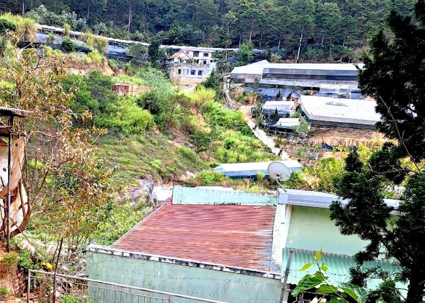 Đa phần những ngôi nhà ở xóm Bảo Đại đều được làm tạm bợ do hầu hết chưa được cấp đất thổ cư