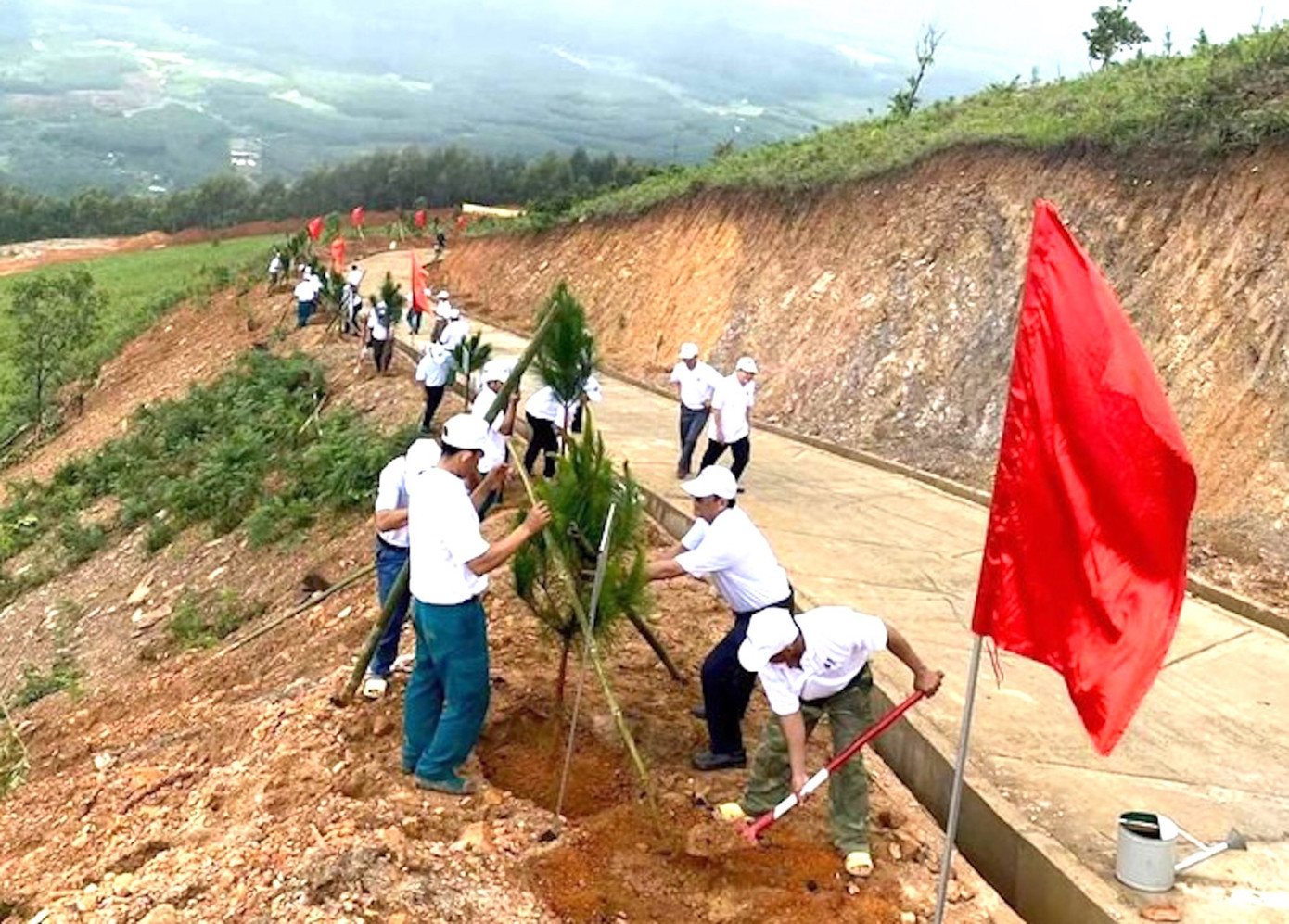 Huyện Sa Thầy luôn chú trọng đến việc trồng rừng Huyện Sa Thầy luôn chú trọng đến việc trồng rừng