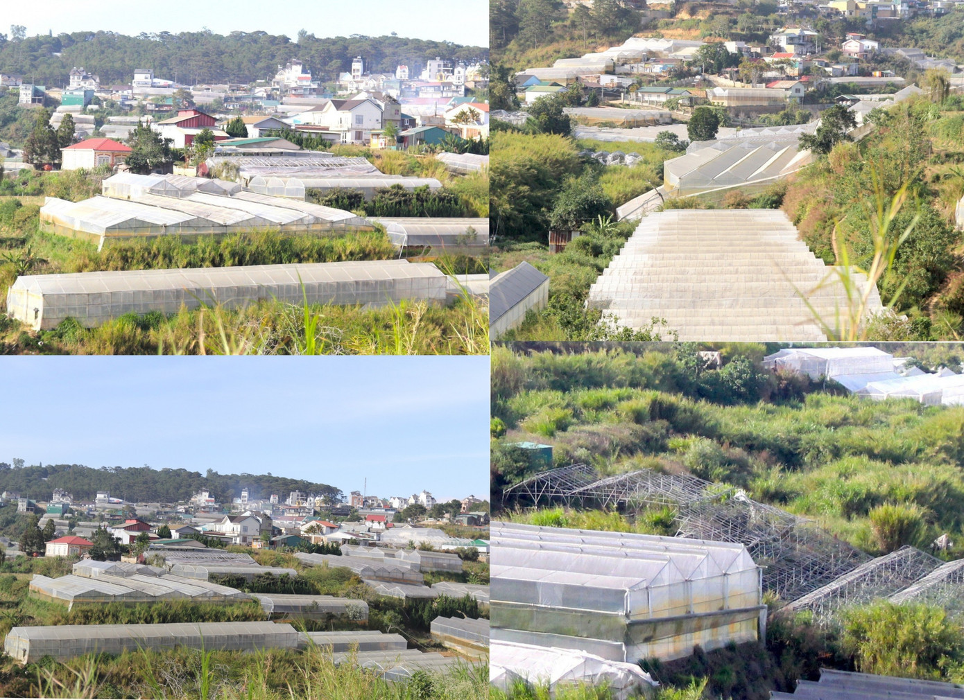 Đi đâu quanh Đà Lạt cũng bắt gặp màu trắng đục ảm đạm. Bởi vậy, hơn 10 năm nay, ngoài khí hậu mát mẻ, nơi đây có thêm một từ khóa khác cũng “hot” không kém, đó là “nhà kính”.