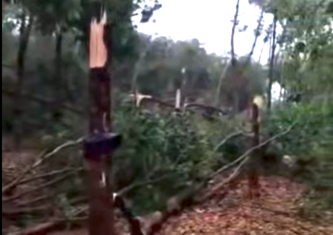 Không chỉ nhà cửa, nhiều diện tích hoa màu, cây lâu năm ở Gia Lai cũng bị gãy đổ do những cơn gió mạnh. Không chỉ nhà cửa, nhiều diện tích hoa màu, cây lâu năm ở Gia Lai cũng bị gãy đổ do những cơn gió mạnh.