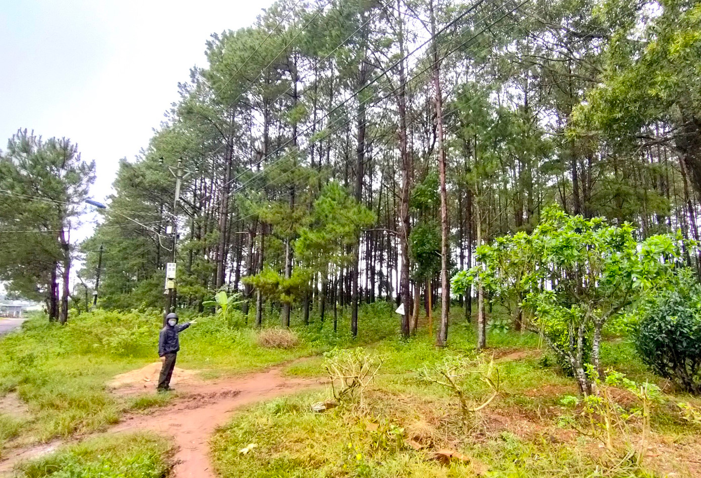 Khu đất mà ông Sớm giải quyết cho "thắng kiện"