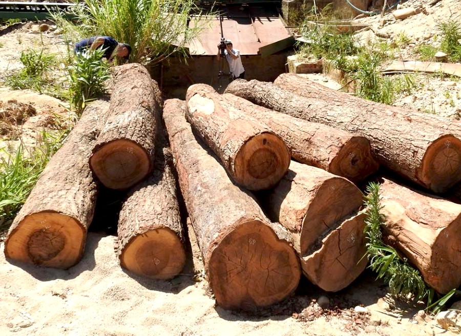 Điểm tập kết gỗ trái phép trong điểm mỏ khai thác cát, sỏi 87 được Công an tỉnh Kon Tum phát hiện