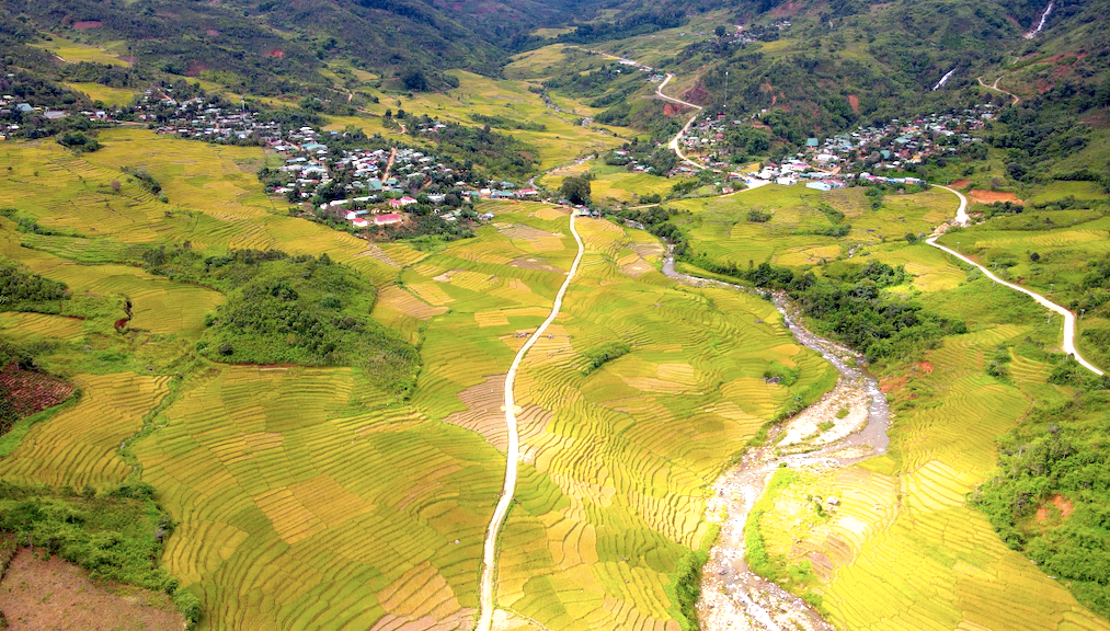 Ruộng lúa bậc thang bạt ngàn cùng mùi lúa chín thơm ngào ngạt khắp một thung lũng rộng lớn Ruộng lúa bậc thang bạt ngàn cùng mùi lúa chín thơm ngào ngạt khắp một thung lũng rộng lớn