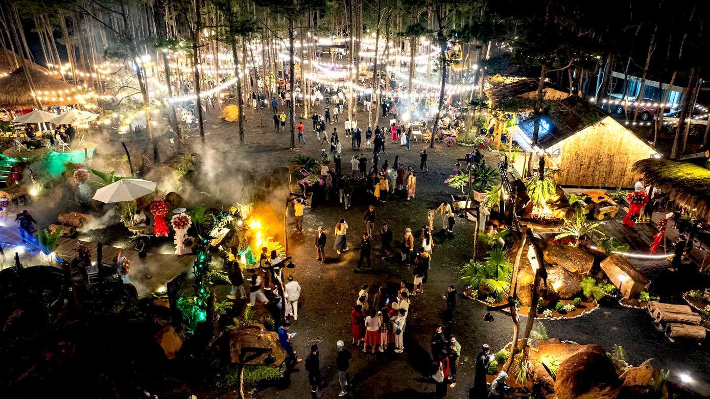 Phố đêm Măng Đen được làm dưới tán rừng nhưng không ảnh hưởng tới bất kỳ cây thông nào.