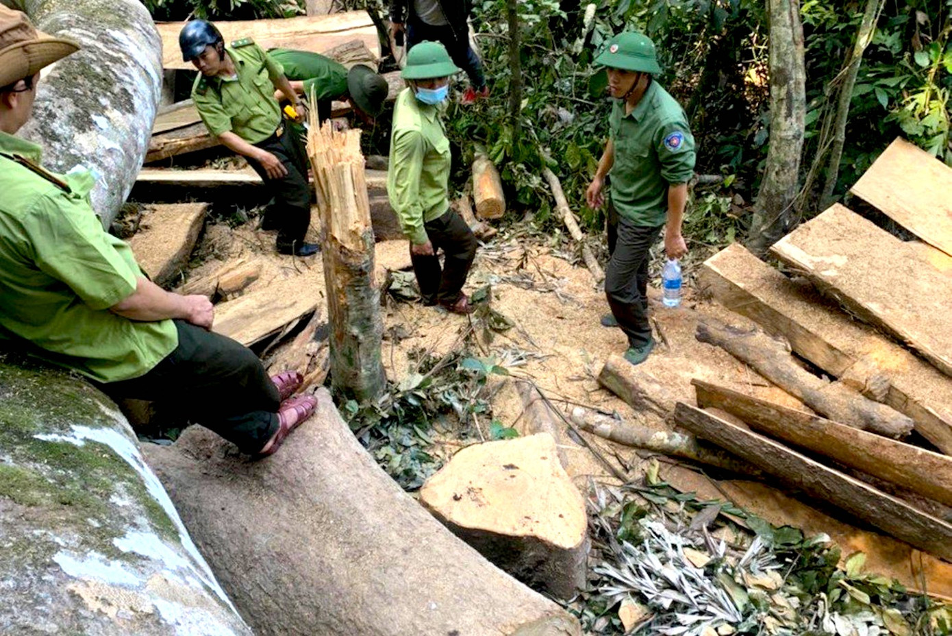 Hiện trường vụ khai thác lâm sản trái phép