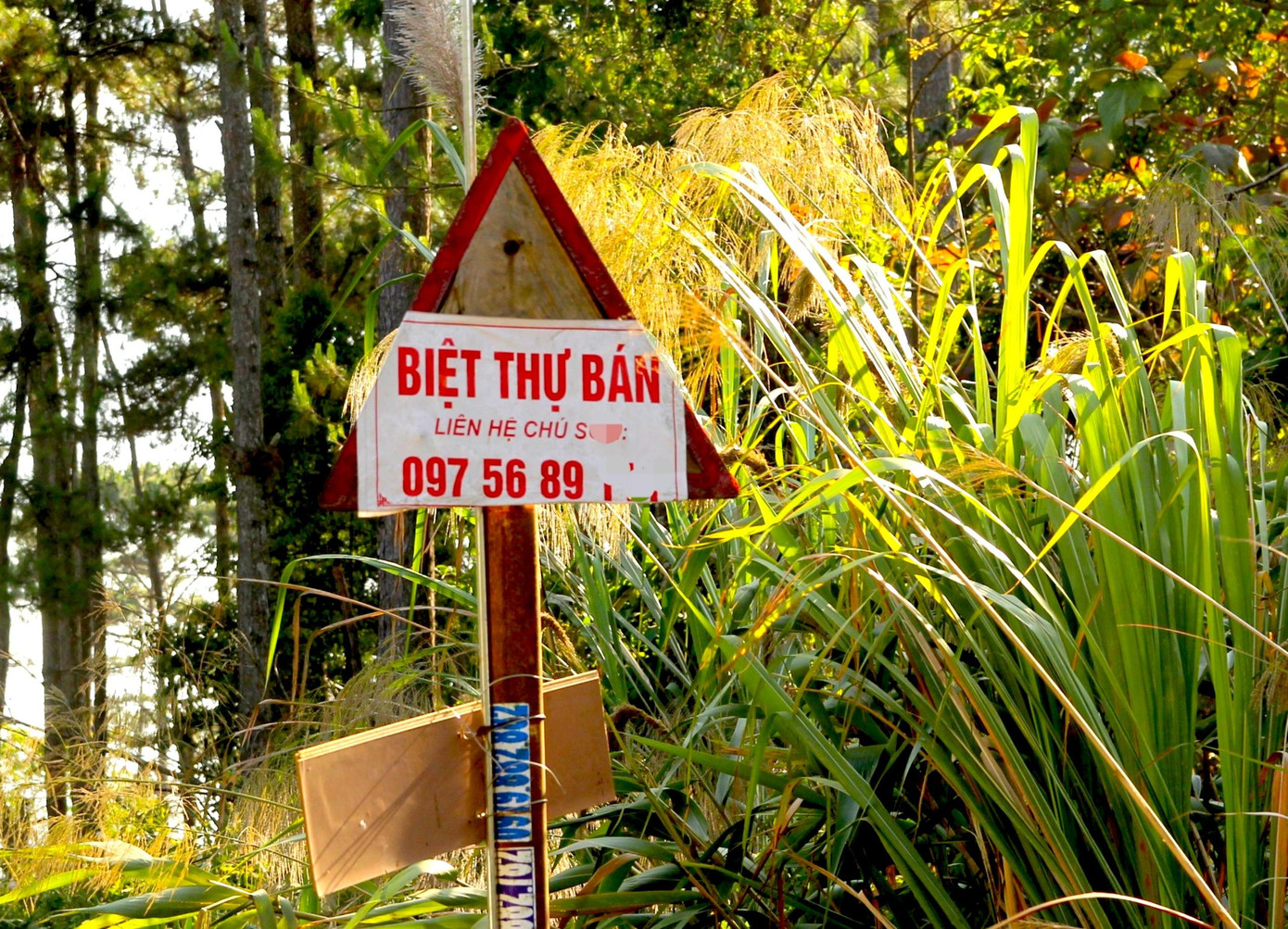 Rao bán biệt thự ở Măng Đen Rao bán biệt thự ở Măng Đen