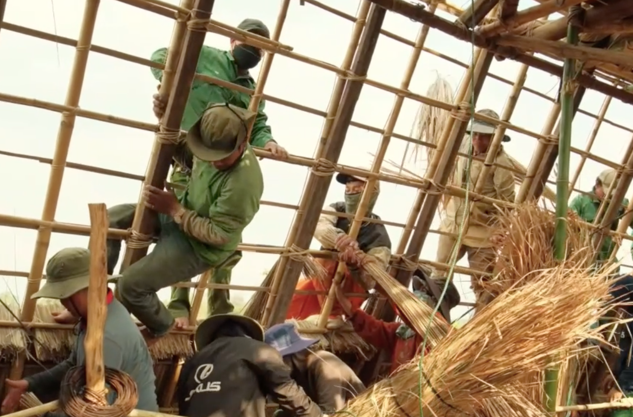 Những bó cỏ tranh được đưa lên cao bằng dây hoặc cây sào dài.