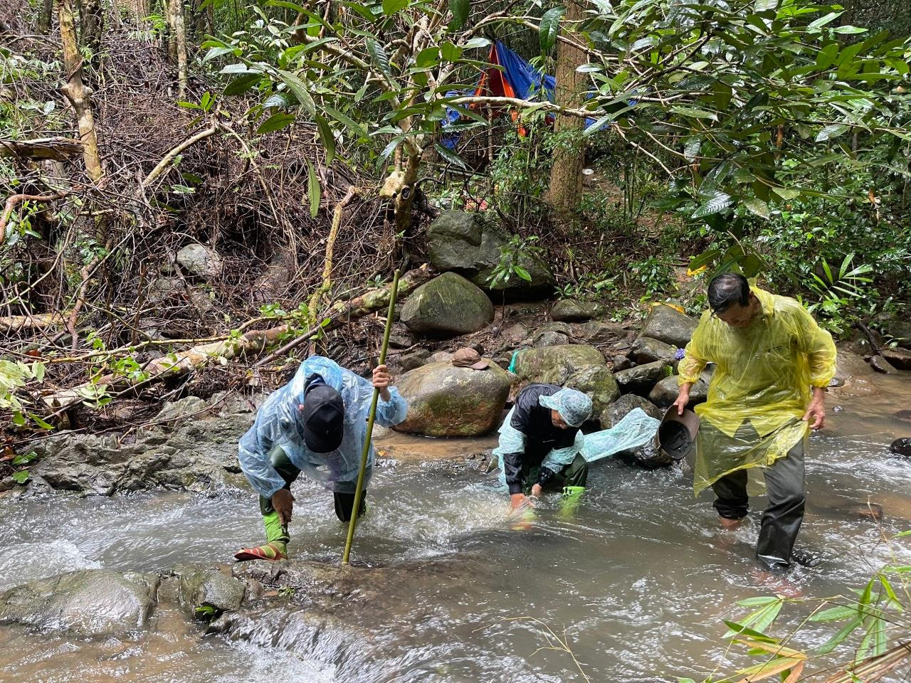Để tiếp cận hiện trường, lực lượng chức năng của huyện Sa Thầy gặp rất nhiều khó khăn vì địa hình hiểm trở. Phải đi gần 4 giờ đồng hồ họ mới đến nơi xảy ra vụ khai thác lâm sản này. Để tiếp cận hiện trường, lực lượng chức năng của huyện Sa Thầy gặp rất nhiều khó khăn vì địa hình hiểm trở. Phải đi gần 4 giờ đồng hồ họ mới đến nơi xảy ra vụ khai thác lâm sản này.