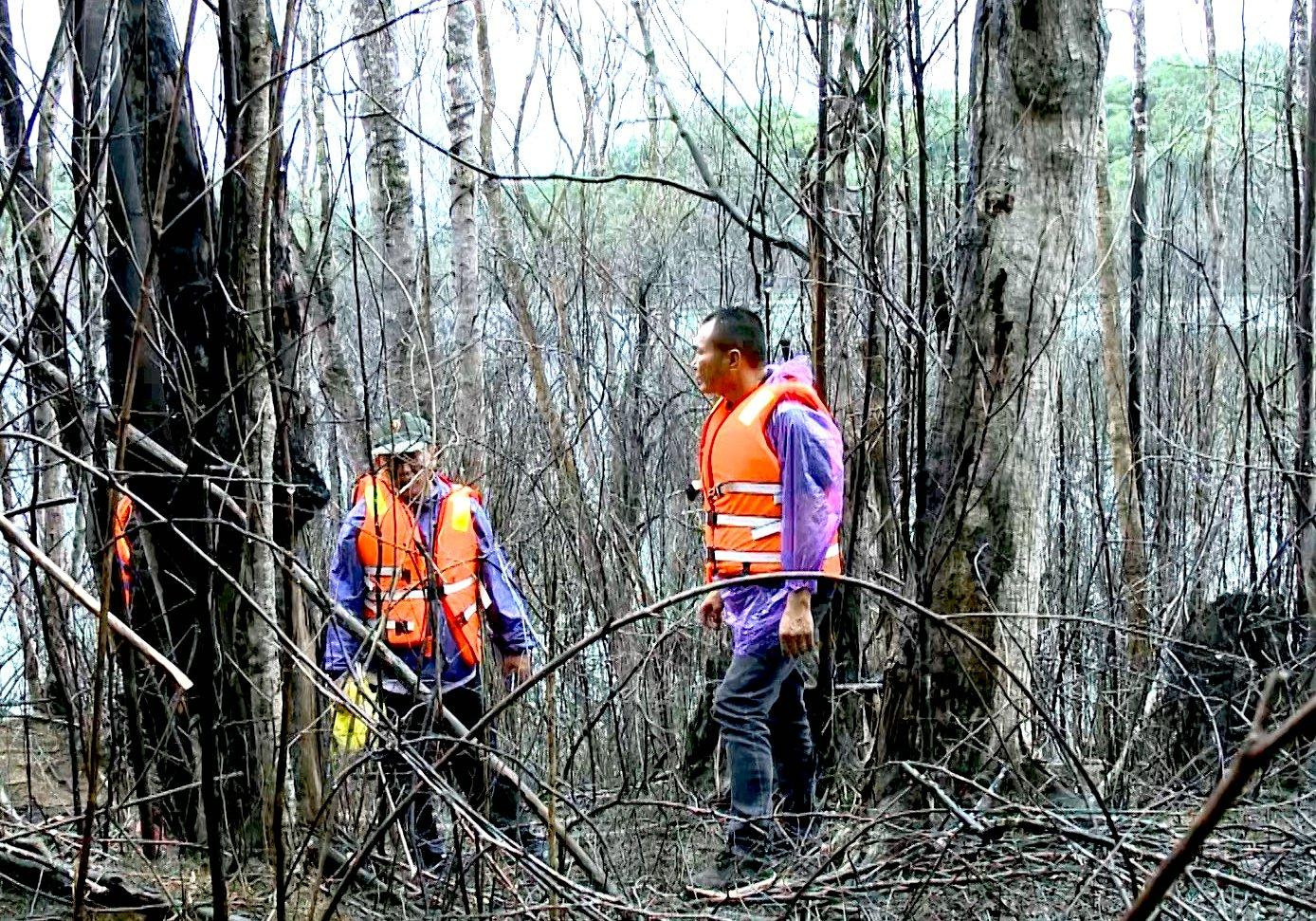 Rừng cây rậm rạp nguyên sơ giờ đã chết, khung cảnh khiến ai cũng phải xót xa