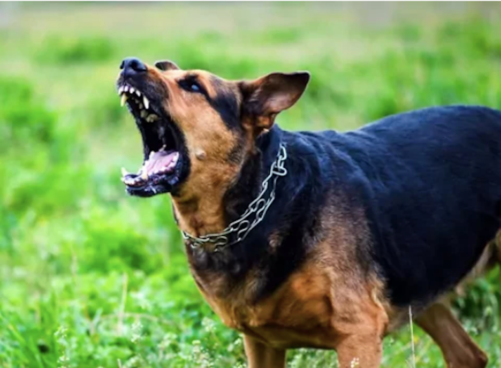 Ảnh minh hoạ. Nguồn: Internet