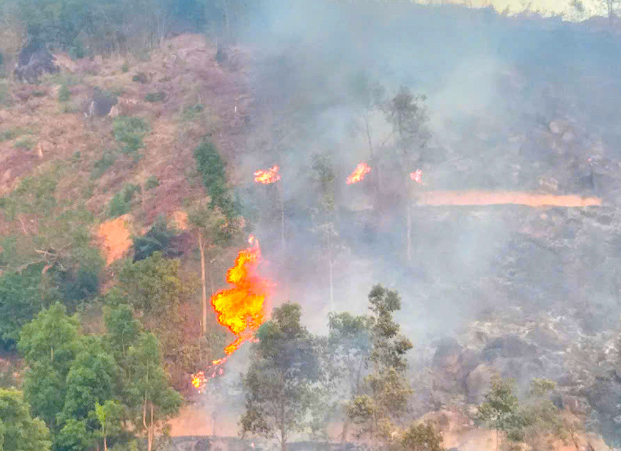 Đám cháy lan sang phần rừng tự nhiên Đám cháy lan sang phần rừng tự nhiên