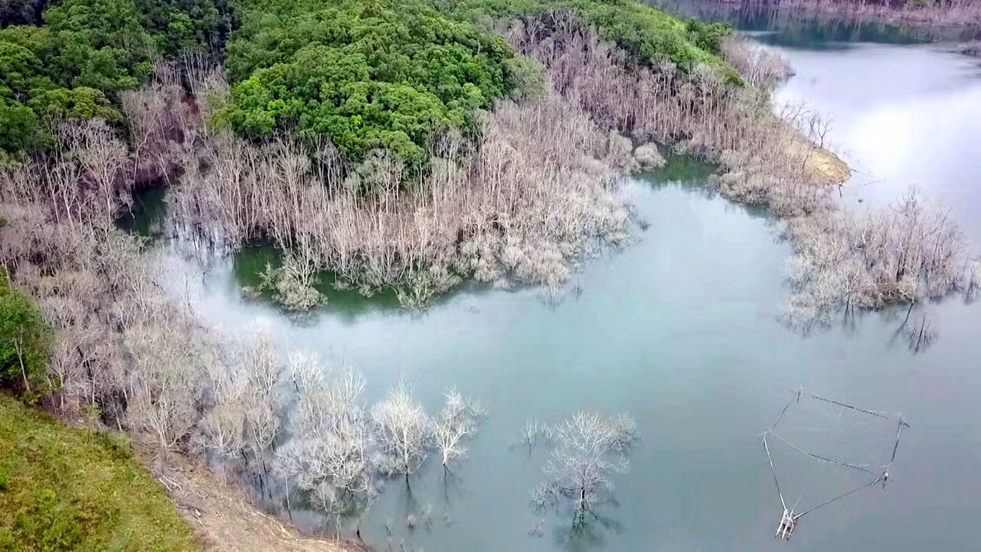 Hàng loạt sai phạm khác trước đó ở thủy điện Thượng Kon Tum đã được báo Tiền Phong phản ánh.