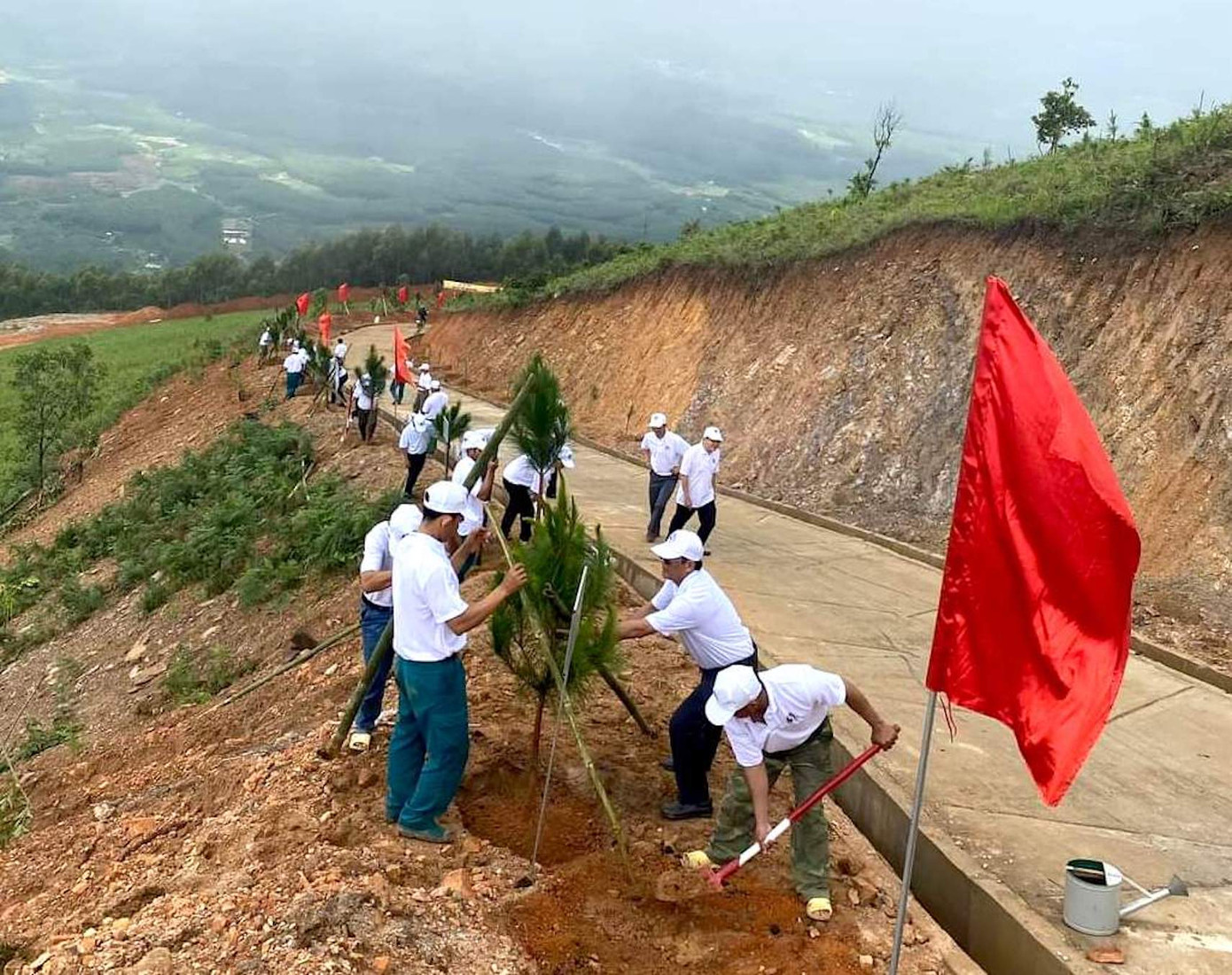 Thanh niên là lực lượng cốt lõi trồng 2.555 cây xanh ở di tích lịch sử