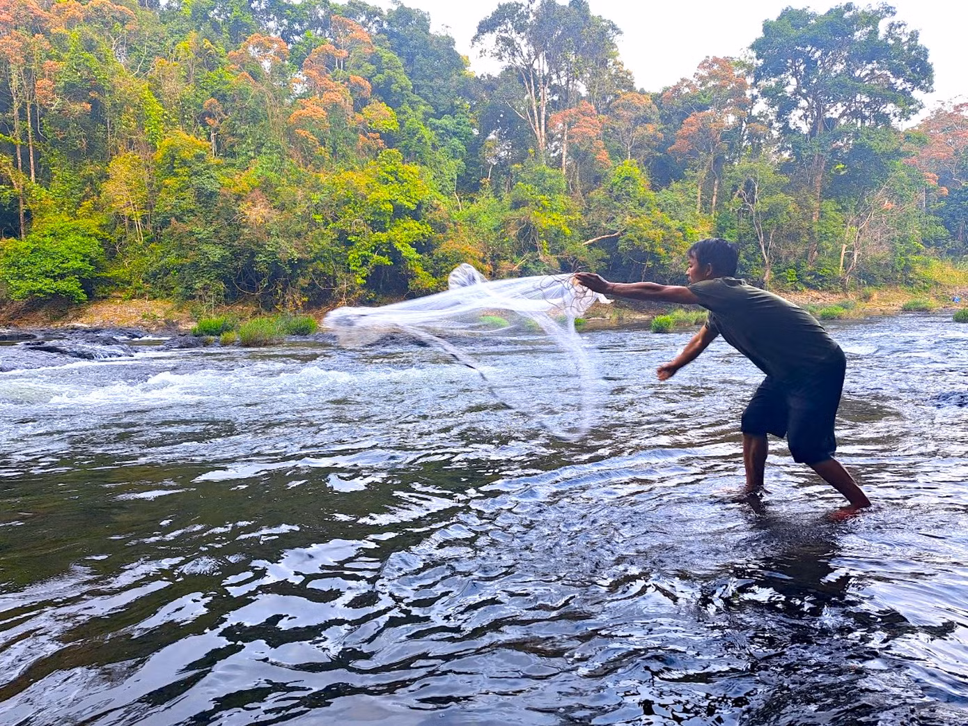 Dưới dòng nước mát lạnh của thác K50 là nhiều loài cá đặc sản như cá phá, cá chình, cá niêng...