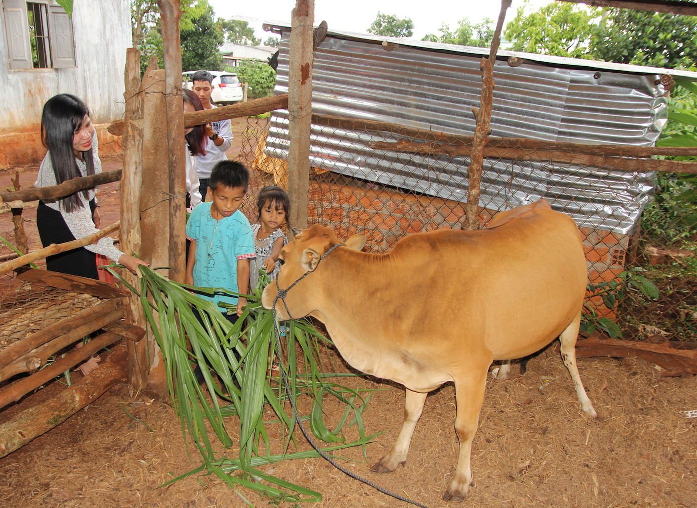 Năm nay, riêng em Phúc (lớp 4, Trường Tiểu học số 2, xã Gla, huyện Đak Đoa) và em Reng (lớp 4, Trường Tiểu học Số 2, xã Kdang, huyện Đak Đoa) mỗi em sẽ được nhận một con bò, mỗi con trị giá 10 triệu đồng. Đây là hai học sinh có học lực giỏi, hoàn cảnh đặc biệt khó khăn