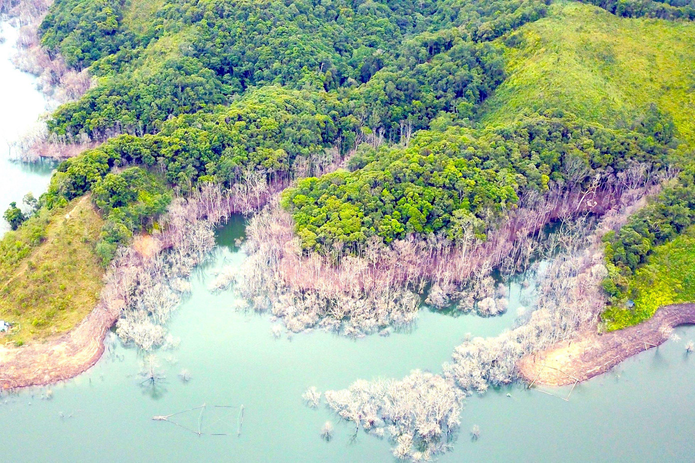 Kết quả khảo sát của các nhà khoa học Viện Vật lý địa cầu công bố ngày 10/5 cho thấy, động đất liên tiếp thời gian qua ở Kon Tum là động đất kích thích do hoạt động tích nước của hồ chứa. Riêng Thủy điện Thượng Kon Tum có công suất lắp máy lên đến 240MW. Dự án được UBND tỉnh Kon Tum cấp giấy chứng nhận đầu tư lần đầu với quy mô, diện tích 1.490ha, tổng mức đầu tư 5.245 tỷ đồng, cuối năm 2020 đưa vào hoạt động