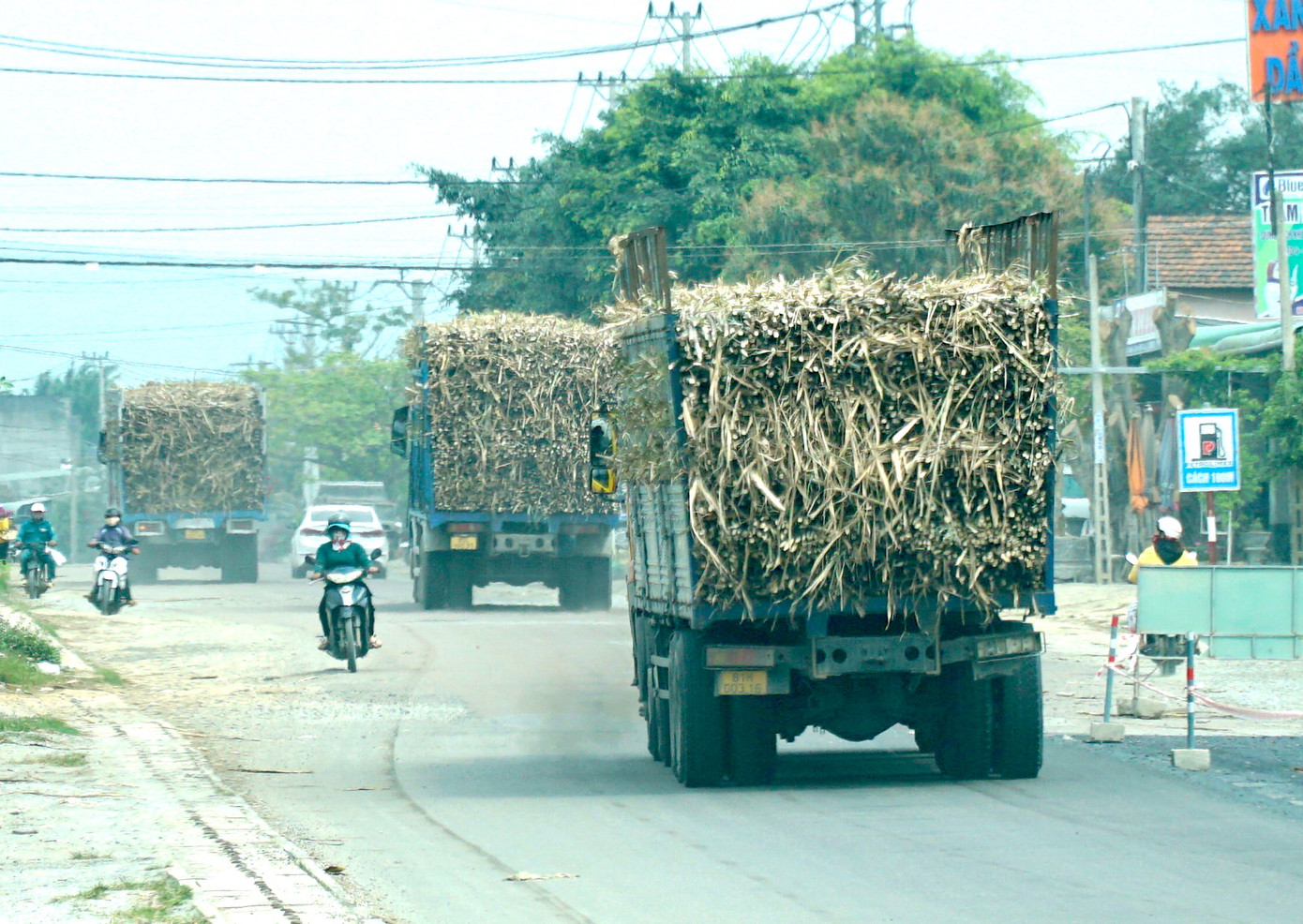 Xe chở mía có dấu hiệu quá khổ, quá tải lưu thông trên Quốc lộ 19 được PV ghi nhận Xe chở mía có dấu hiệu quá khổ, quá tải lưu thông trên Quốc lộ 19 được PV ghi nhận
