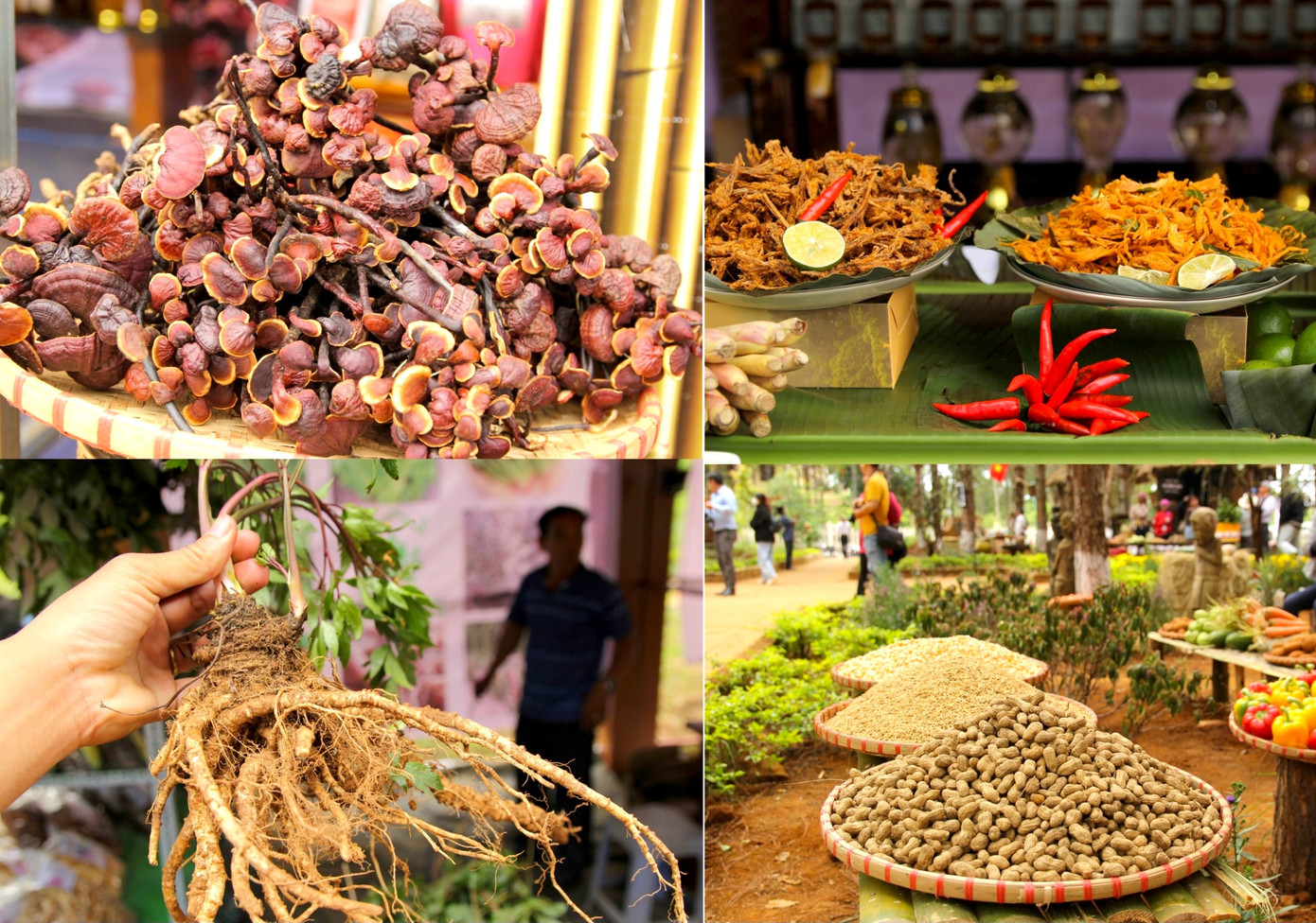 Đến Khu Đồi thông Măng Đen như lạc vào thế giới toàn rau, củ, quả.