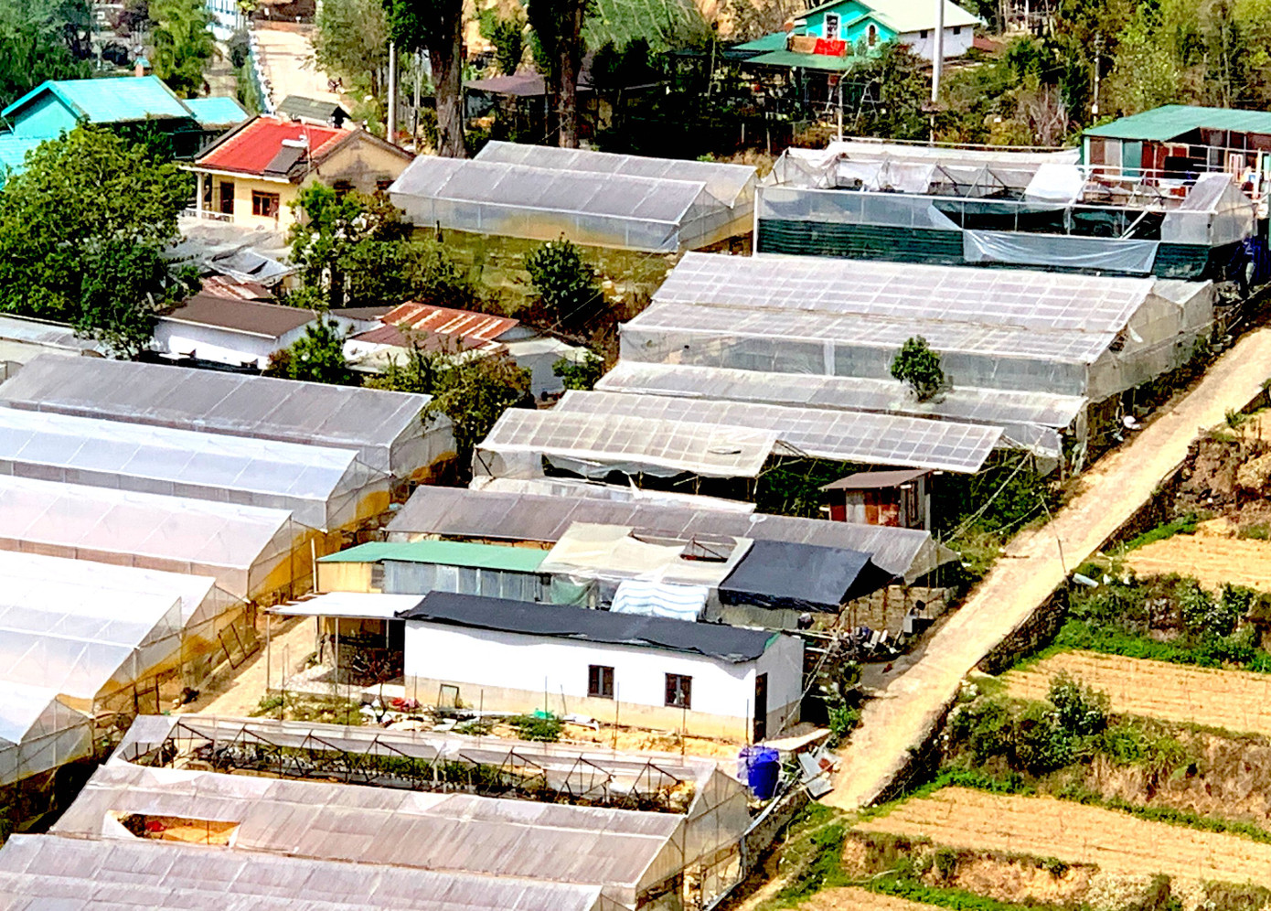 Nhà kính trong trung tâm Đà Lạt.