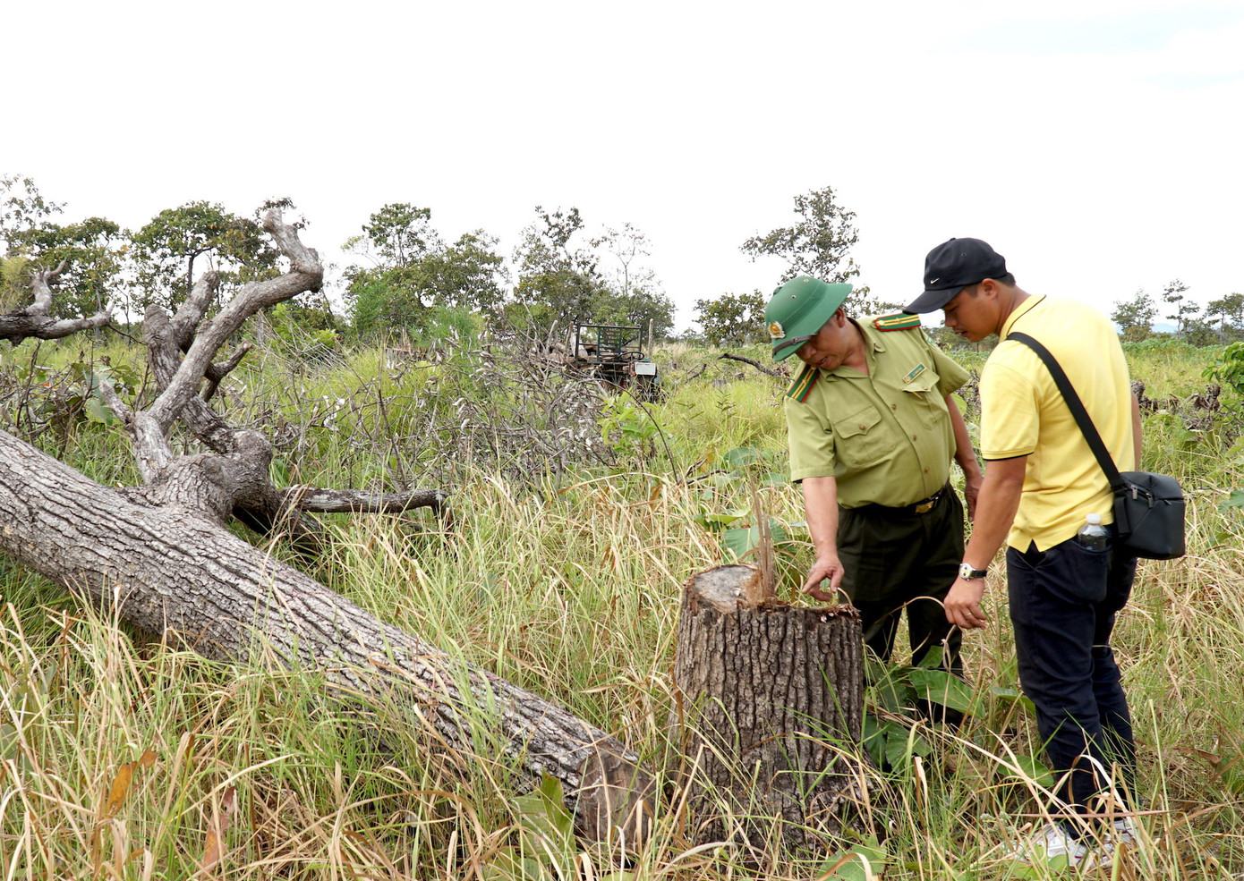Rừng bị phá thuộc vùng tưới Thuỷ lợi Ia Mơr chỉ còn là rừng nghèo, bởi vậy cơ quan chức năng bước đầu nhận định do người dân phá để lấy đất sản xuất.