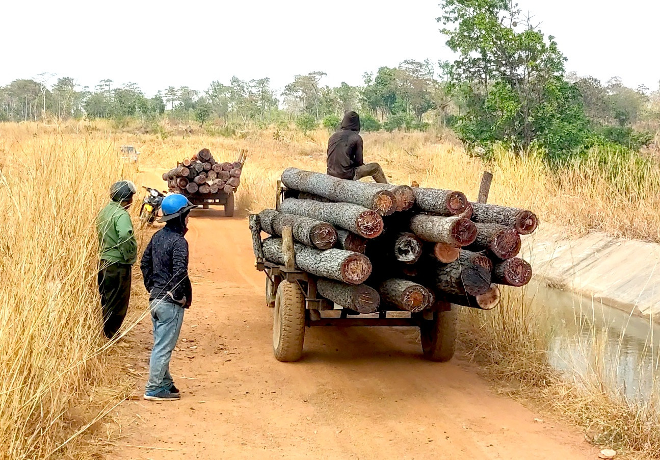 Tang vật liên quan vụ án bị tạm giữ