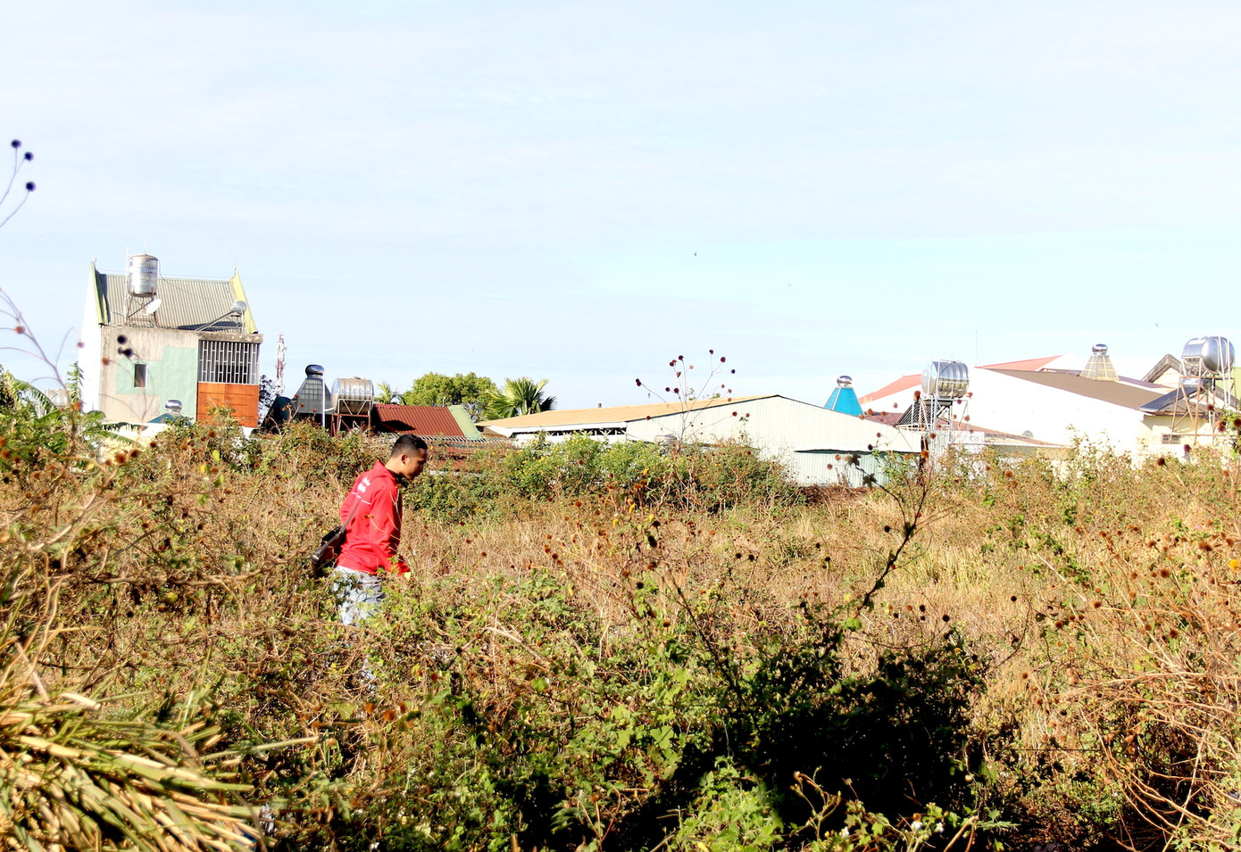 Dự án đầu tư xây dựng trụ sở làm việc của Công ty cổ phần Sông Đà 11 – Thăng Long để cỏ dại mọc um tùm.