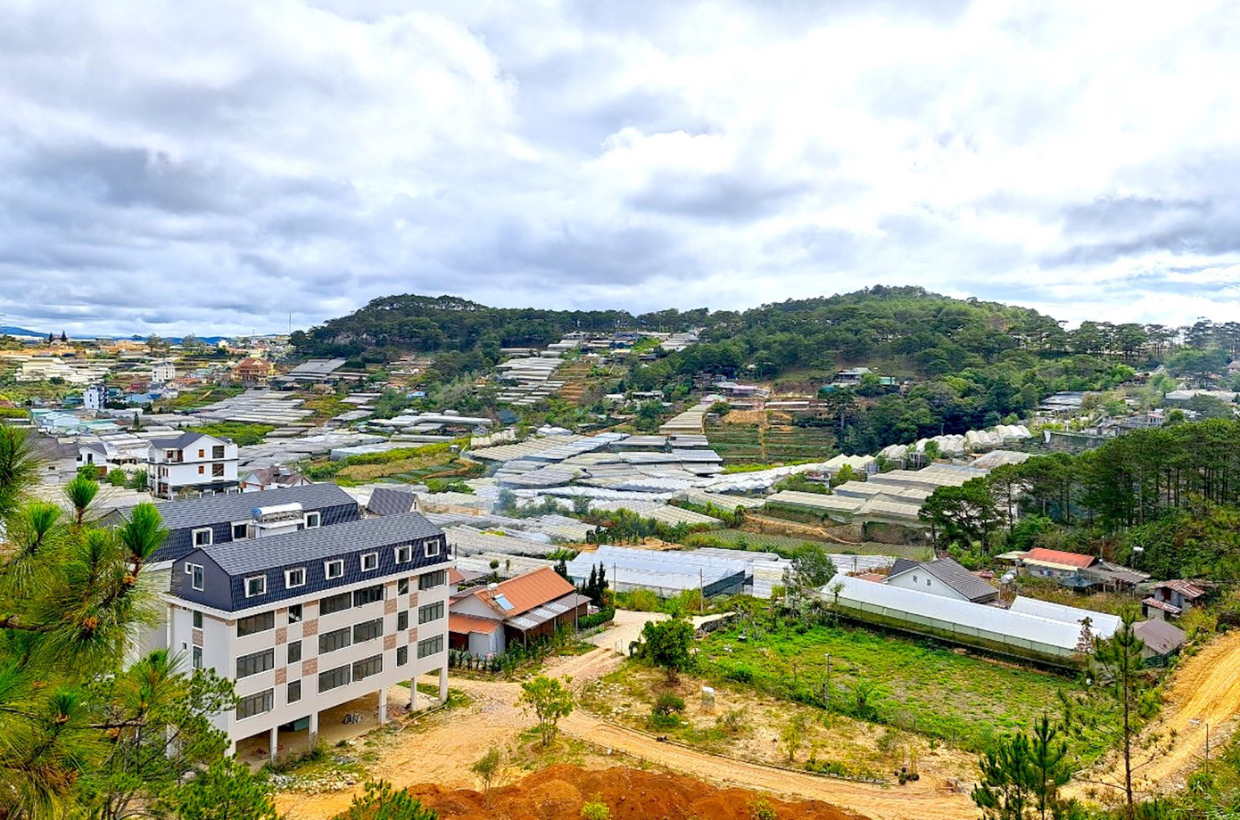 Nhà kính phát triển do canh tác trong môi trường này giúp giảm lượng lớn phân bón và thuốc bảo vệ thực vật cũng như lượng nước tưới, nhờ vậy chi phí sản xuất giảm đáng kể.