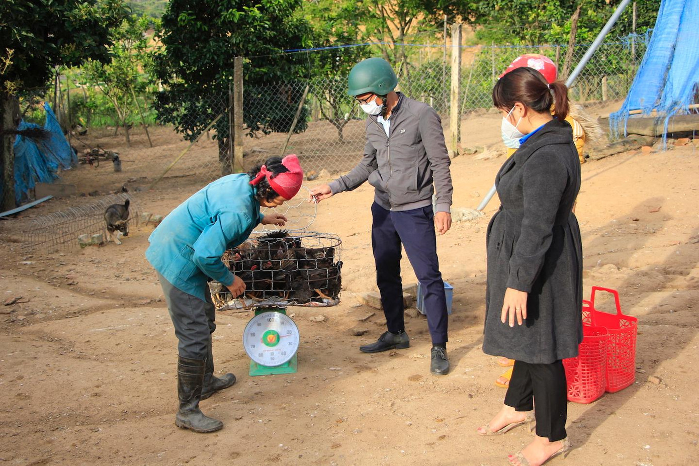Chị Đinh Thị Toại - Bí thư Huyện đoàn Kbang (phải) đến giám sát việc cân gà giống
