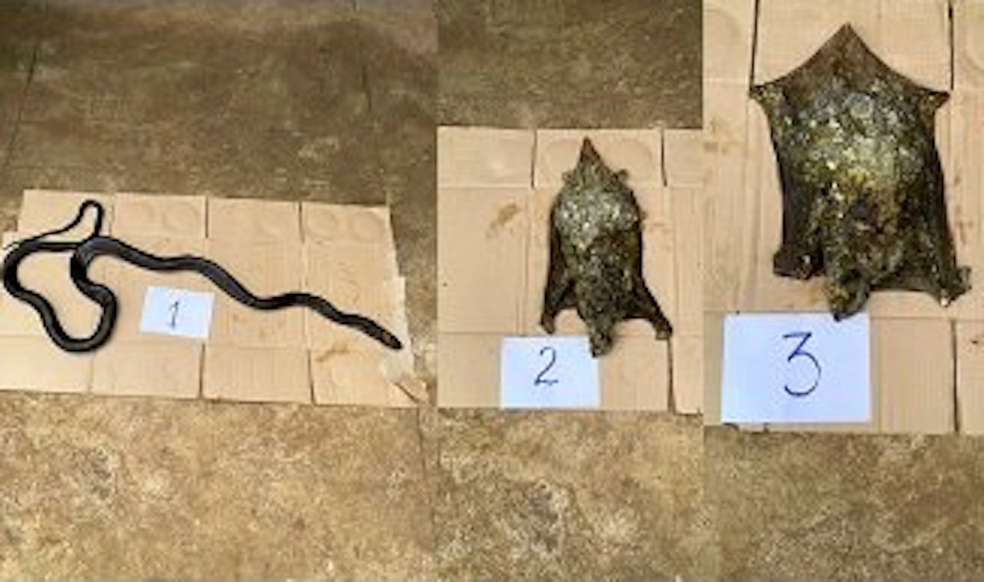 Tang vật trong vụ án