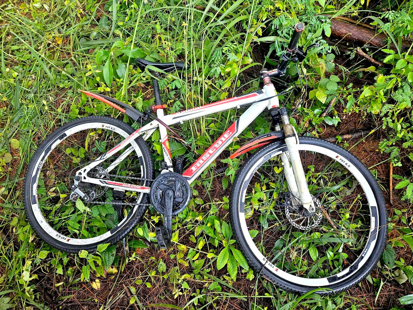 Xe đạp gần nơi xảy ra vụ việc Xe đạp gần nơi xảy ra vụ việc