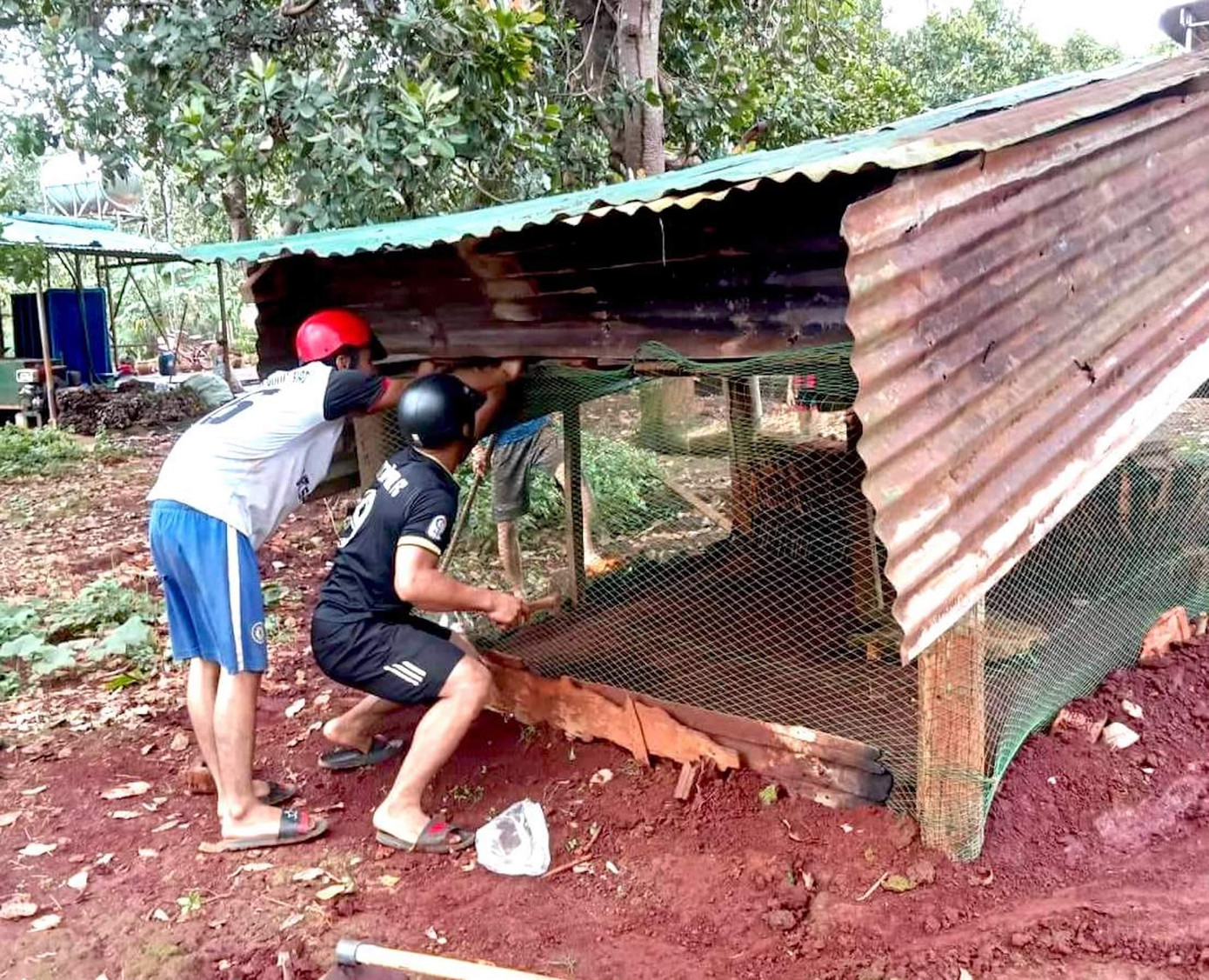 Thanh niên các Xã Đoàn ở Đức Cơ làm chuồng gà cho các em học sinh Thanh niên các Xã Đoàn ở Đức Cơ làm chuồng gà cho các em học sinh