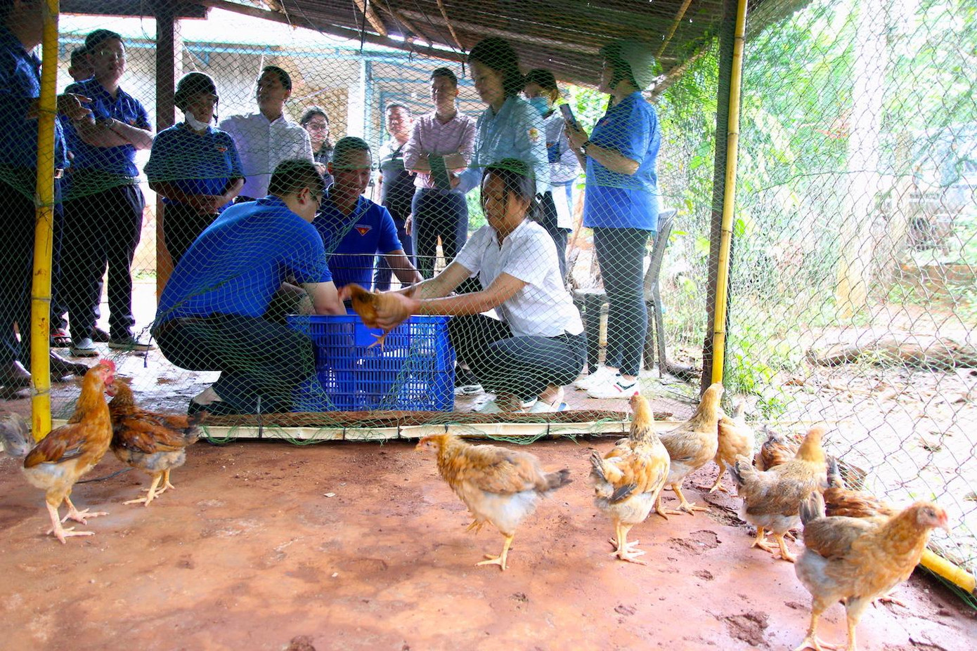 Thanh niên Tỉnh Đoàn Gia Lai trao đàn gà tặng em Rơ Mah H'Đắc (lớp 8, Trường THCS Lý Tự Trọng, xã Ia Kla, huyện Đức Cơ). Thanh niên Tỉnh Đoàn Gia Lai trao đàn gà tặng em Rơ Mah H'Đắc (lớp 8, Trường THCS Lý Tự Trọng, xã Ia Kla, huyện Đức Cơ).