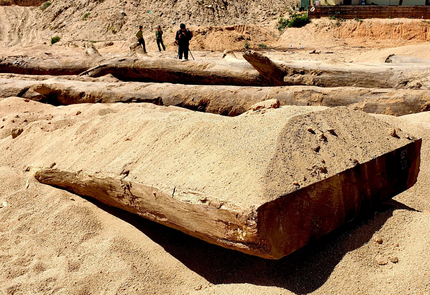 Một cây gỗ được xẻ mặt phản (sập) tại hiện trường. Một cây gỗ được xẻ mặt phản (sập) tại hiện trường.