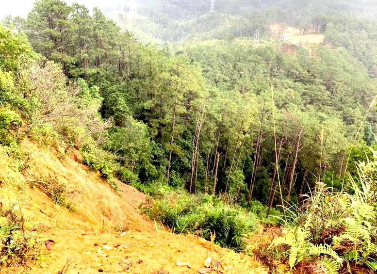 Đoạn vực sâu nơi xảy ra vụ việc Đoạn vực sâu nơi xảy ra vụ việc