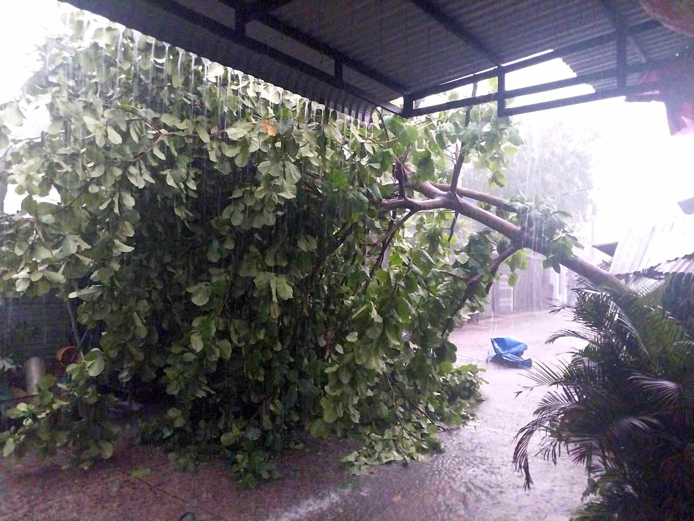 Mưa dông làm tốc mái 69 căn nhà ở Gia Lai ảnh 3