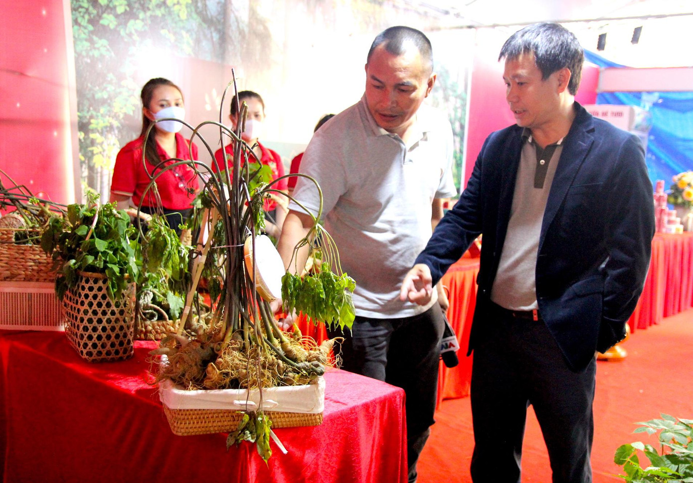 Phiên chợ sâm Ngọc Linh đang được tổ chức lần đầu tiên ở huyện Tu Mơ Rông với 44 gian hàng trưng bày giới thiệu về các sản phẩm (sâm Ngọc Linh cùng các loại dược liệu khác). Đây là phiên chợ uy tín khi đầu vào được kiểm soát nghiêm ngặt. Trong ảnh, ông Trần Hoàn- Chủ tịch HĐQT Công ty Cổ phần Sâm Ngọc Linh Kon Tum đang giải thích, hướng dẫn người tiêu dùng cách phân biệt loại sâm "đội lốt" sâm Ngọc Linh. Được biết, nhiều người tiêu dùng không am hiểu đã mua nhầm sâm trồng ở Lai Châu (giá chỉ vài trăm nghìn đồng/lạng) với giá sâm Ngọc Linh (19 triệu đồng/lạng). Theo ông Hoàn, sâm trồng ở Lai châu có thân cây to, mọng nước hơn sâm Ngọc Linh. Sâm Lai Châu cũng không có mắt như sâm Ngọc Linh với các mắt được mọc so le. Ngoài ra, có thể nhận thấy rõ củ sâm Ngọc Linh có hình thù khẳng khiu, cứng cáp, trong khi củ sâm Trung Quốc to, tròn. Khi ngửi thì sâm Ngọc Linh có mùi thơm mát, dễ chịu.