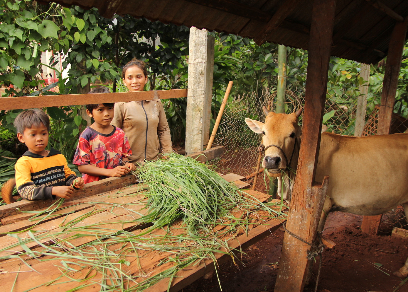 Năm nay, riêng em Phúc (lớp 4, Trường Tiểu học số 2, xã Gla, huyện Đak Đoa) và em Reng (lớp 4, Trường Tiểu học Số 2, xã Kdang, huyện Đak Đoa) mỗi em sẽ được nhận một con bò, mỗi con trị giá 10 triệu đồng. Đây là hai học sinh có học lực giỏi, hoàn cảnh đặc biệt khó khăn