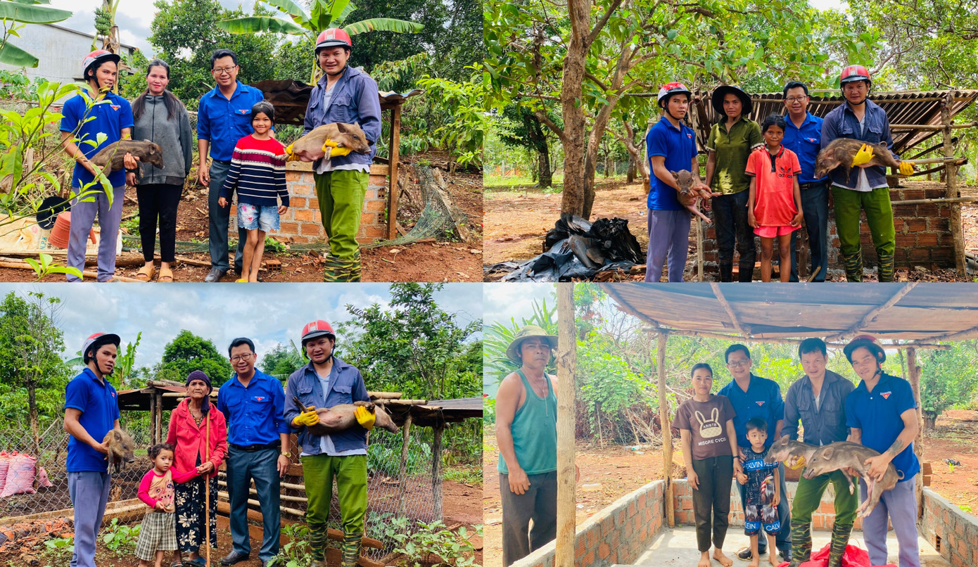 Anh Lê Trọng Phúc - Bí thư Huyện Đoàn Đức Cơ (đeo kính) đi trao những cặp heo giống cho gia đình học sinh nghèo.