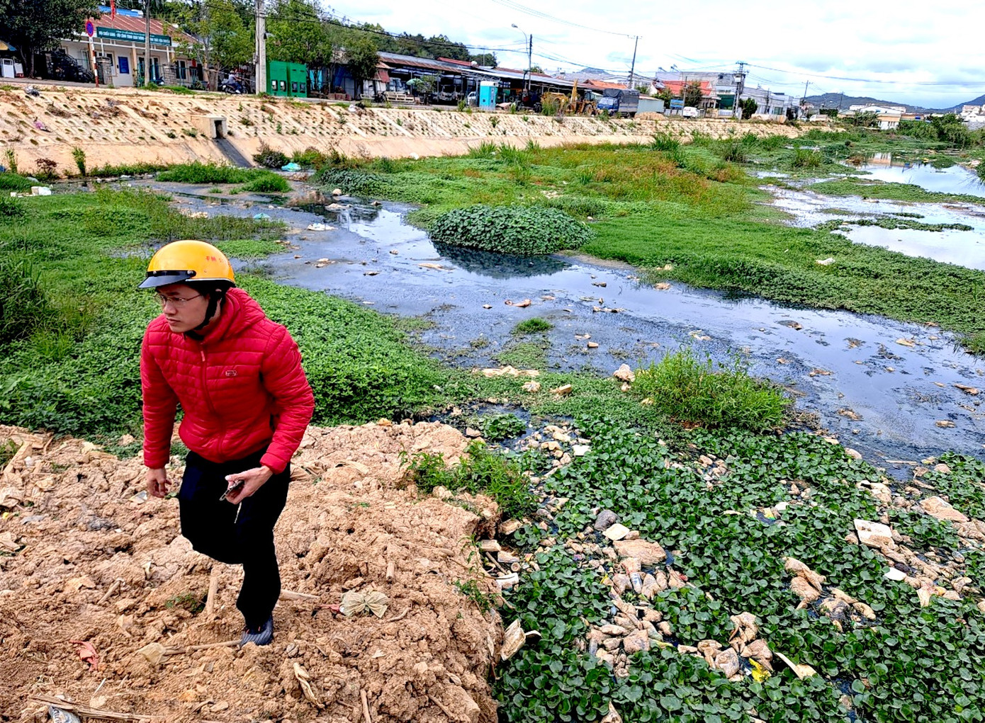 Rác thải lẫn với bèo bốc mùi hôi thối