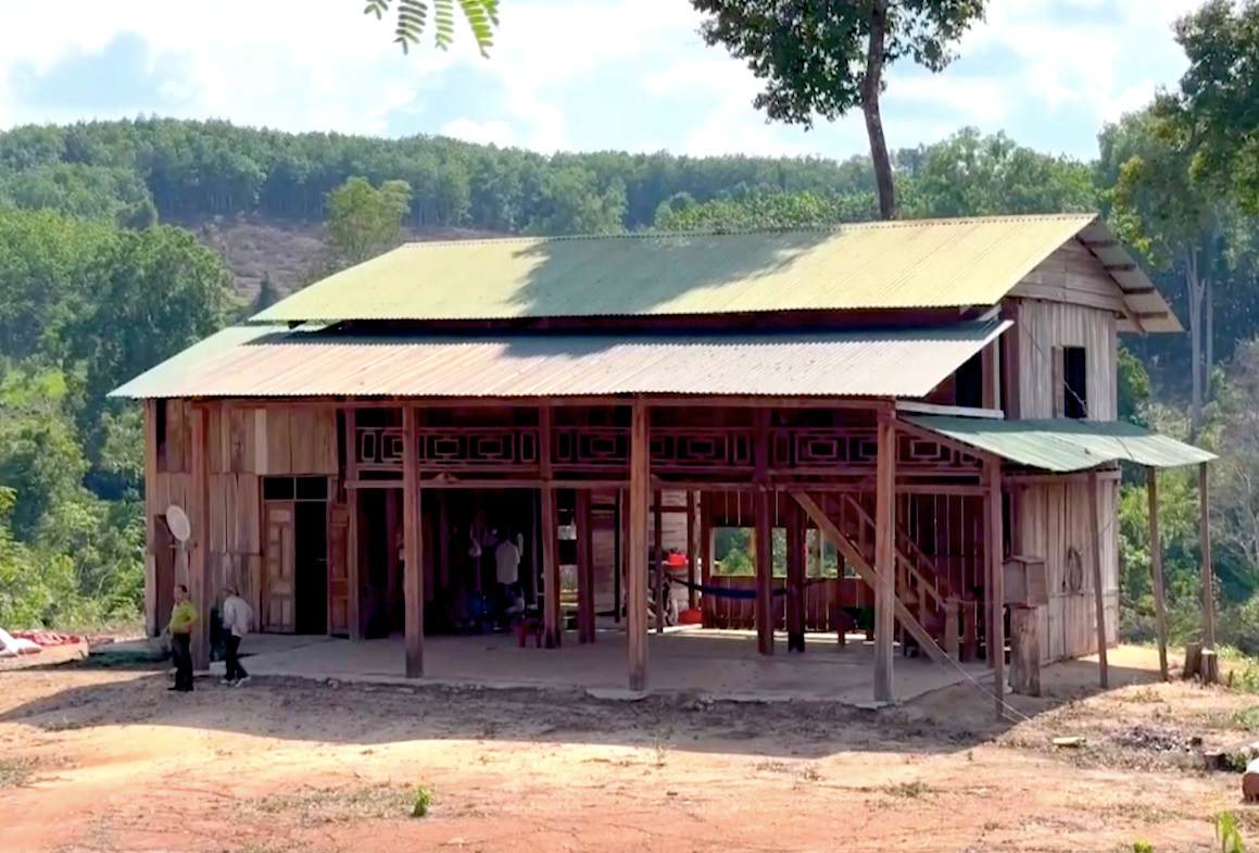 Căn nhà được làm với những cây gỗ lớn được dựng lên giữa cánh rừng bị tàn phá Căn nhà được làm với những cây gỗ lớn được dựng lên giữa cánh rừng bị tàn phá