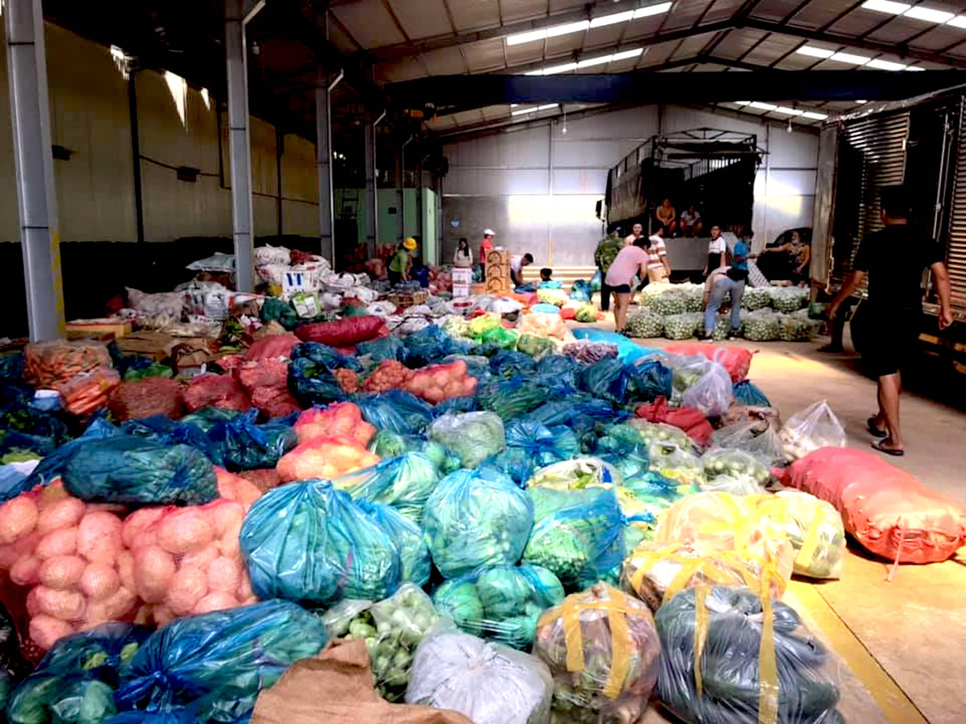 Nhóm từ thiện của chị Trị bốc rau củ lên xe chuẩn bị vận chuyển vào TP. HCM