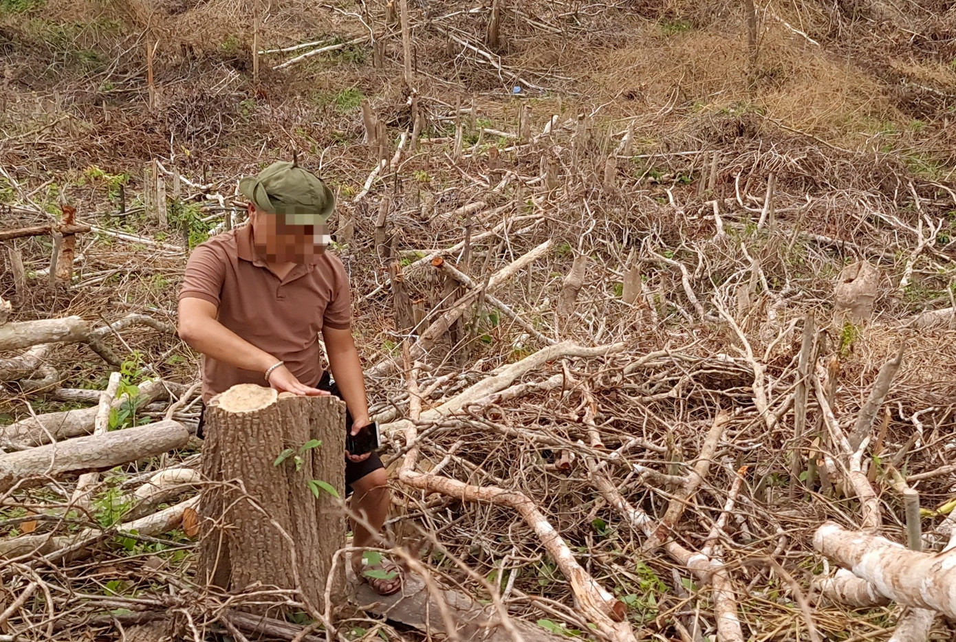 Ngổn ngang thân gỗ lớn nhỏ tại hiện trường