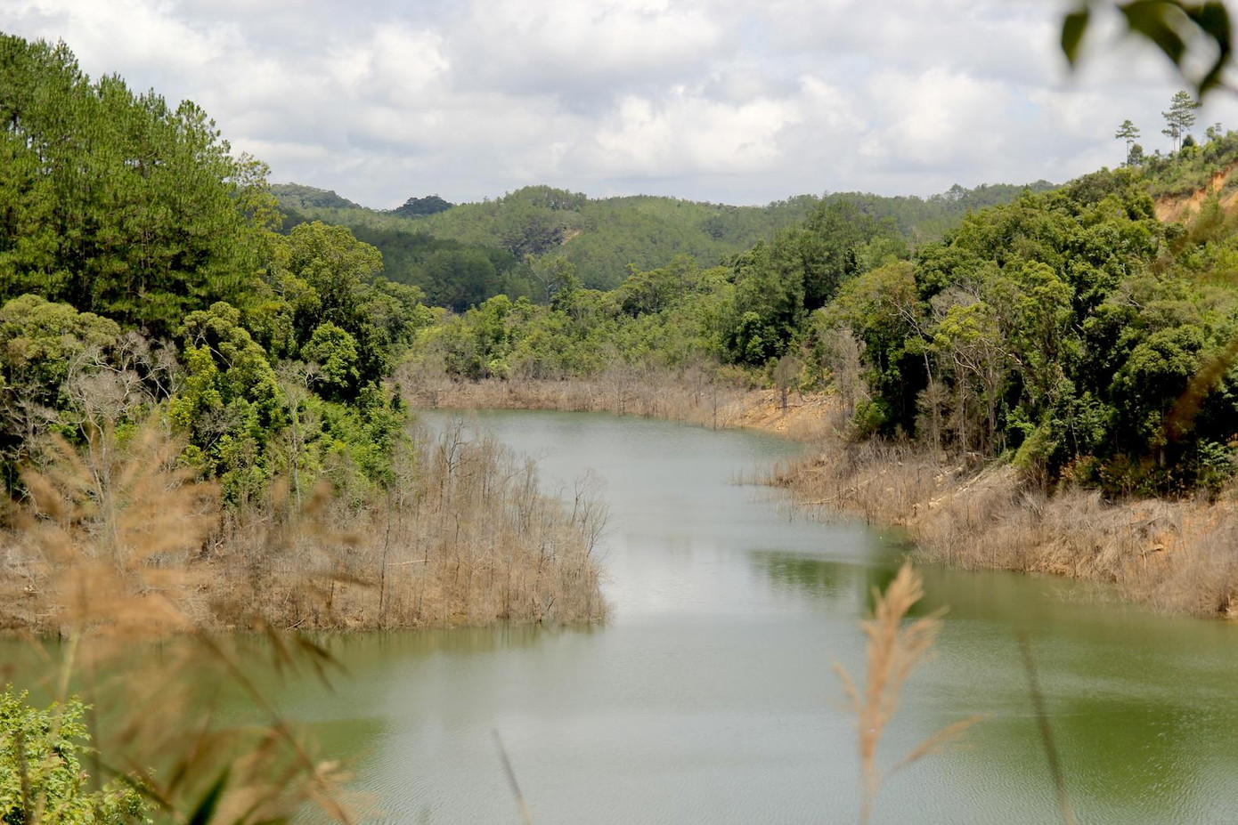 Thuỷ điện Thượng Kon Tum cách trung tâm thành phố Kon Tum, tỉnh Kon Tum khoảng 100km. Vừa qua, cơ quan chức năng xác định, đây là thuỷ điện đã tích nước lòng hồ, ngăn dòng chảy làm nước dâng ngập, gây úng hơn 25ha rừng.