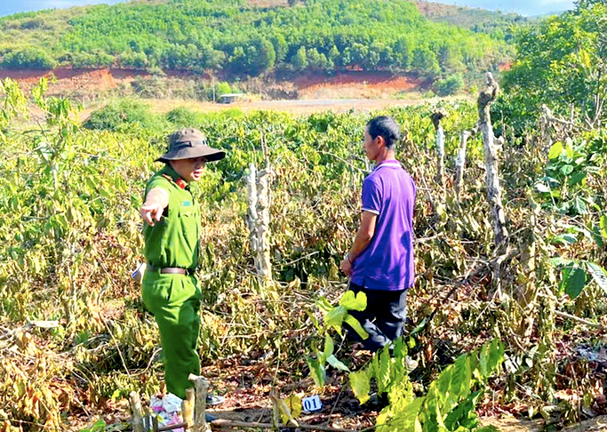 Công an đưa Thêm thực nghiệm hiện trường tại rẫy cà phê Công an đưa Thêm thực nghiệm hiện trường tại rẫy cà phê
