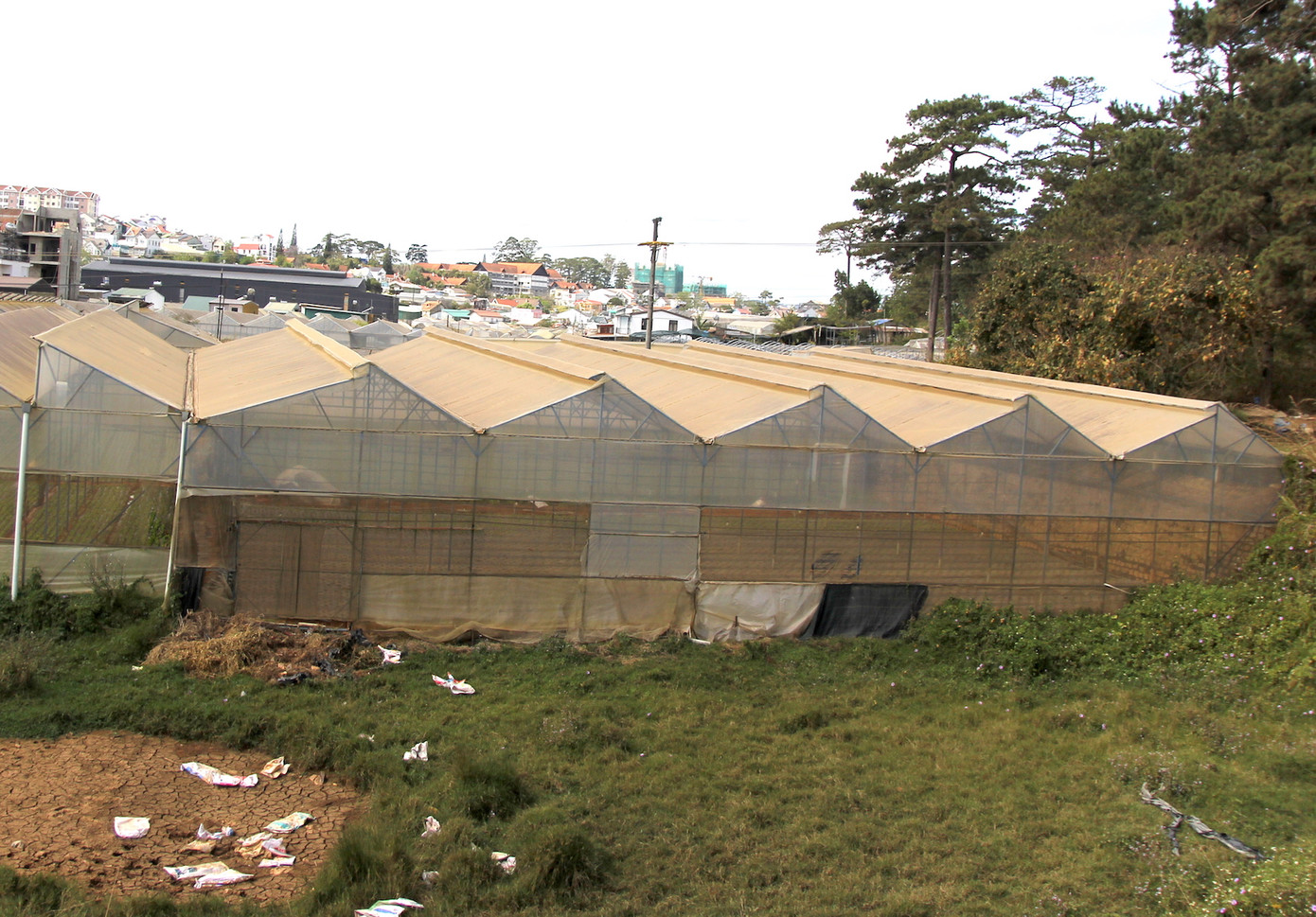 Nhà kính bên cạnh hồ Than Thở (TP. Đà Lạt) bị bụi bám đỏ do các xe tải cỡ lớn "oanh tạc" thời gian dài.