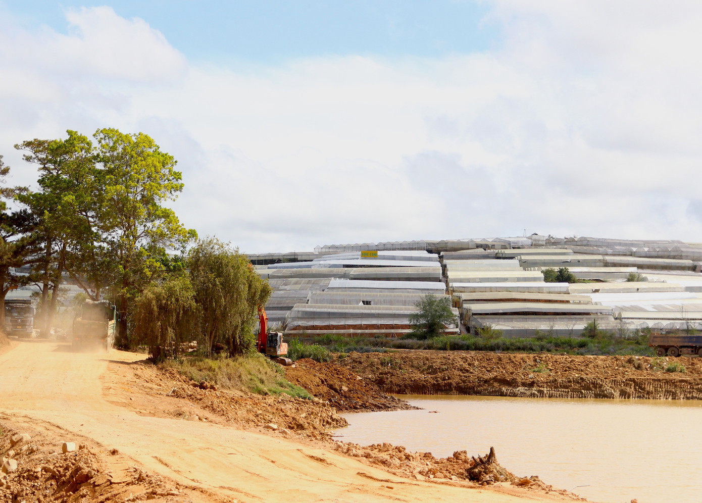 Nhà kính bên cạnh hồ Than Thở (TP. Đà Lạt) bị bụi bám đỏ do các xe tải cỡ lớn "oanh tạc" thời gian dài.