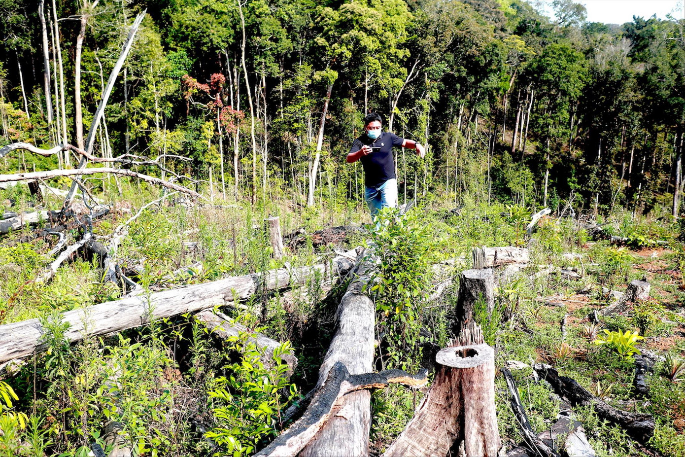 Một vụ phá rừng ở xã Măng Cành để lấy đất